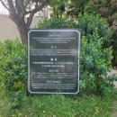 페블비치 호텔 (The Lodge at Pebble Beach) 후기- 꿈에 그리던 미국 골프 여행