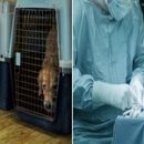 성대농장 이미지