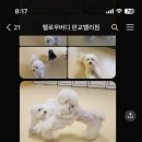 헬로우버디 판교밸리점 이미지
