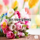 향기 티스토리