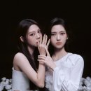 도드리 카카오 검색결과