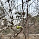 우리 소리마당 이미지