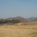 돌터미