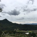 아림약국 이미지