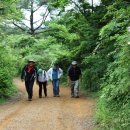 노꼬메오름 이미지