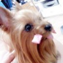 뽀뽀하우스