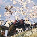 잔아박물관 이미지