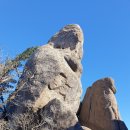 2022년 11월 5일 백두대간 23회차 산행기(늘재 ~ 경미산 ~ 밤티재 ~ 문장대 ~ 천왕봉 ~피앗재 ~만수동) 이미지