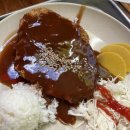 서울대공원 동물원 호랑이푸드코트 돈까스 짜장밥 솔직후기