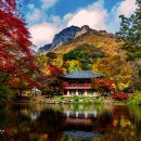 백양사 쌍계루 이미지