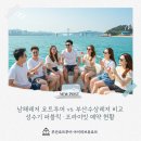 남해-229 | 남해레저 요트투어 vs 부산수상레저 비교｜성수기 퍼블릭·프라이빗 예약 현황