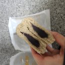 평화보리빵 티스토리