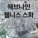 포레스트 리솜 이미지