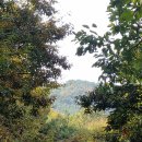 남파랑길 이미지