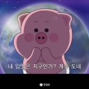 빌라드스파이시 이미지
