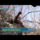 코리아헌터 네이버블로그