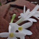 하하스테이 이미지