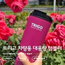 칼라자동차용품 | 대용량 텀블러 | 트리고 차량용 대용량 텀블러 솔직후기 (색감곱다✨)