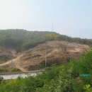 오로