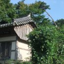 용흥사진입로 이미지