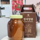 자연의 달콤함을 담은 정직양봉 꿀 이야기