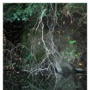 (주)자리 이미지