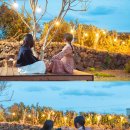 13월의 제주 이미지