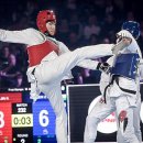 금빛스타태권도 이미지