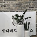 [북부] 소도구필라테스(2025) | 송내역 필라테스 안다미로 필라테스 후기