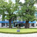 화순군산림조합 이미지