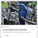 일산 아기랑 실내 가볼 만한 곳 : 일산 아쿠아플라넷 +키즈카페&amp;주차&amp;식당&amp;카드할인 (5세 방문후기)