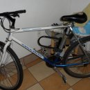 이탈리아 브랜드 비앙키 자전거 100불에 팝니다. 심지어 락커,후방등.wd,펌프 서비스로 드립니다. (귀국세일) 이미지