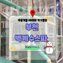 옥길로2L | [부천찜질방] 옥길동 사우나 / 실내데이트 &amp; 아이랑 함께 가기 좋은 키즈 공간 / 주차 꿀 팁