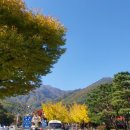 몬스터김밥 이미지