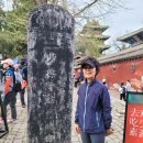 소림무술학교 | 탑림과 소림사(중국 서안 2일차)