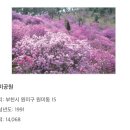 부천-중동-부천-013 이미지