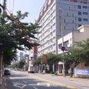평택우체국 1층 네이버블로그