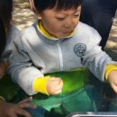 남들어린이집 이미지