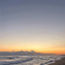 미스터샤크유도짐 이미지