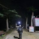 서봉 | 팔공산 수태골주차장 -서봉-동봉-비로봉 등산 후기