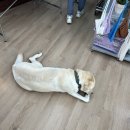 예술마을커피가게 | 파주여행2. 헤이리예술마을 소품샵(SOMETHING PLAY, 마이리틀휘게) / 츄로바 방문후기