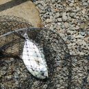 동검낚시터 이미지