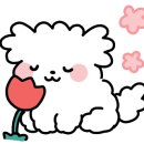 멍멍미식회 이미지