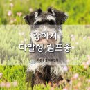 리본동물병원 이미지