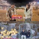 충격정식 이미지