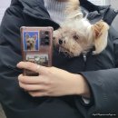 일원로 | 순은으로 직접 만드는 안양 일크래프트 프라이빗 반지공방 원데이클래스 후기