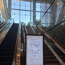 GS25역삼상록 | [웨딩홀] 아모리스 역삼 웨딩홀 견적 후기(장단점,계약X)