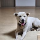 동아동물병원 이미지