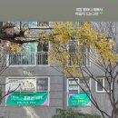 유가초등학교 이미지