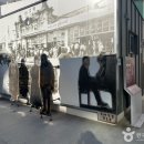 종로-종로-종로-종-350 | [대구 중구] 대구 근대골목(근대로의 여행) - 전 견종 가능 · 사전 문의 필수 · 맹견 입마개 · 목줄...